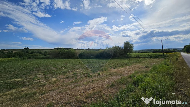 Teren extravilan 12000 mp- Pădureni-Șendriceni, Botoșani 