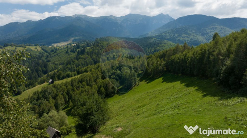Teren Panoramic in Bran – Vedere spre Bucegi & Piatra C...