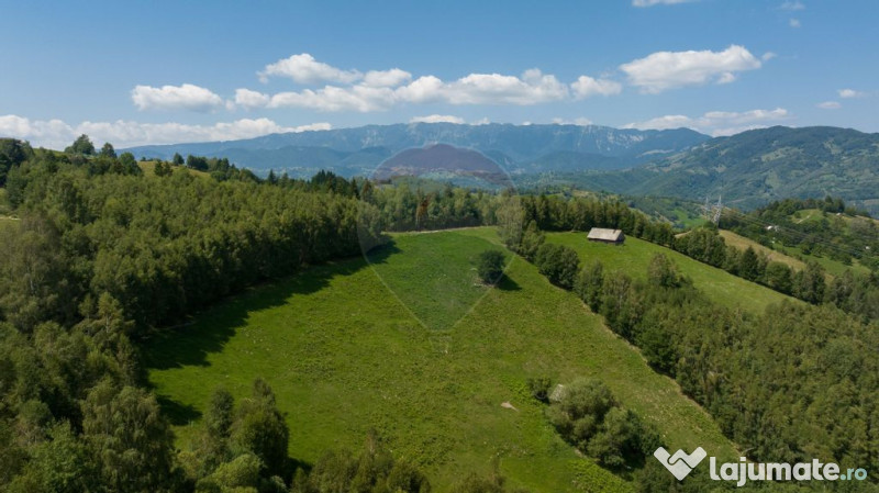 Teren Panoramic in Bran – Vedere spre Bucegi & Piatra C...