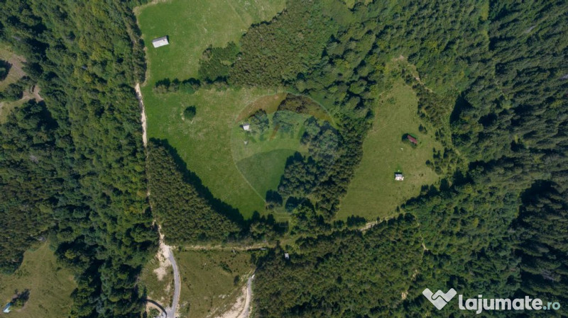 Teren Panoramic in Bran – Vedere spre Bucegi & Piatra C...