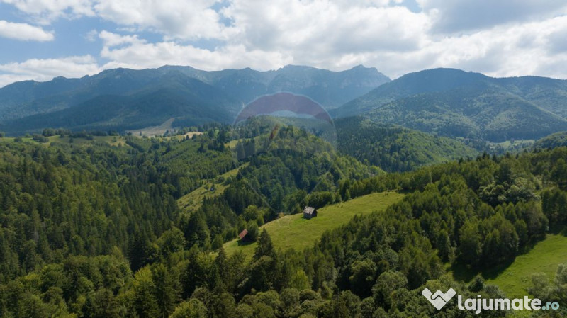 Teren Panoramic in Bran – Vedere spre Bucegi & Piatra C...