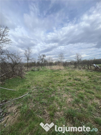 RECO, casa in Dobricionesti,Bihor 