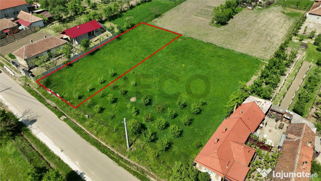 RECO . Teren intravilan in Betfia 2180mp . 