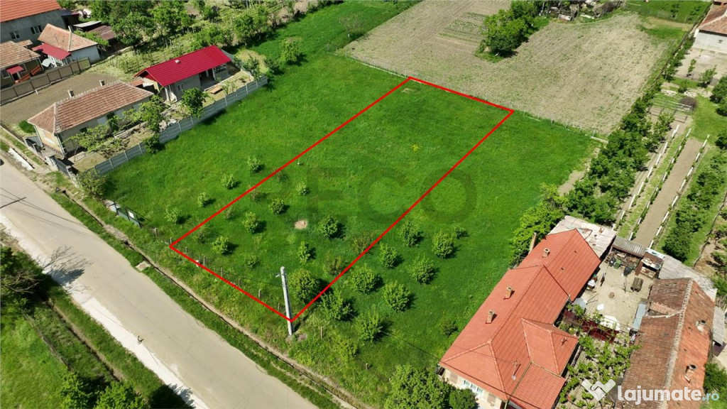 RECO . Teren intravilan in Betfia 2180mp . 