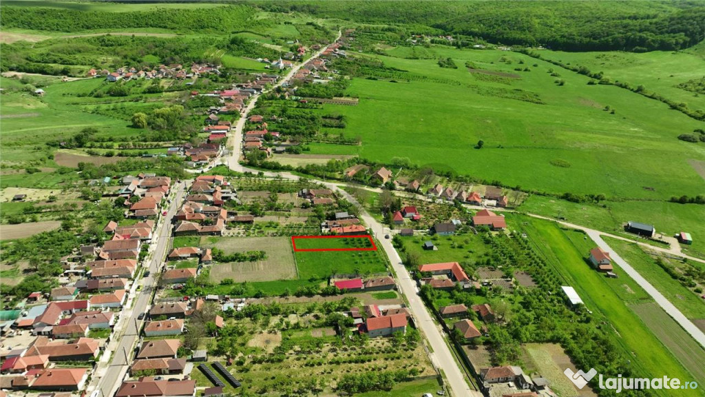 RECO . Teren intravilan in Betfia 2180mp . 