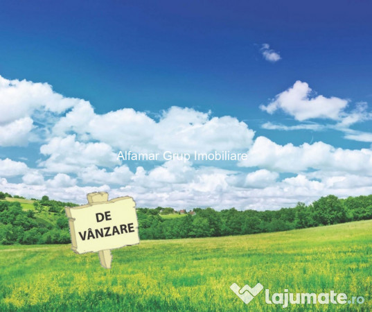 Teren cu potențial – Snagov- Vlădiceasca 