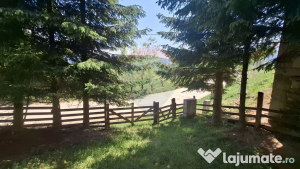 Casă de vacanță in Măgura, la poalele Munților Piatr... 