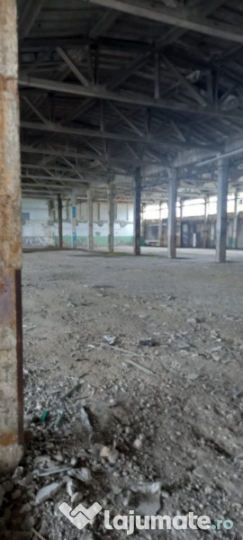 Activ de vanzare la 10 Km de Municipiul Braila ,3 Km de Dunare 