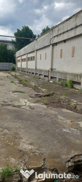 Activ de vanzare la 10 Km de Municipiul Braila ,3 Km de Dunare 