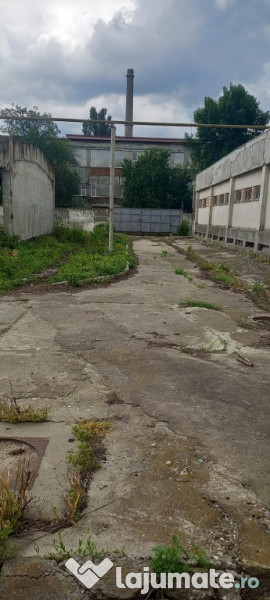 Activ de vanzare la 10 Km de Municipiul Braila ,3 Km de Dunare 