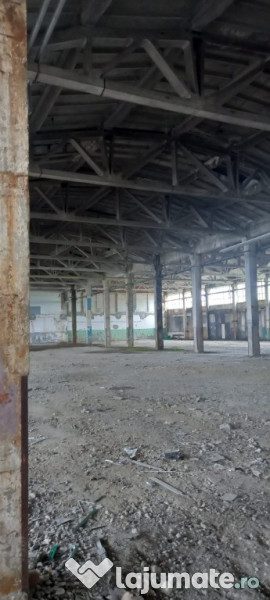 Activ de vanzare la 10 Km de Municipiul Braila ,3 Km de Dunare 