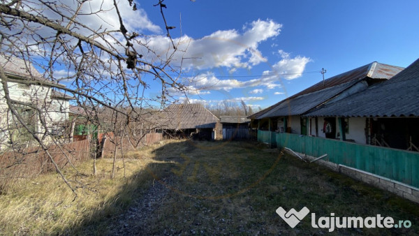 Casa traditionala argeseana – comuna Vedea, jud. Arges 