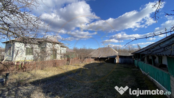 Casa traditionala argeseana – comuna Vedea, jud. Arges 
