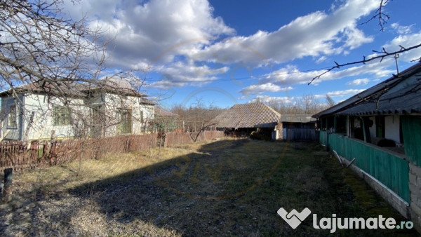 Casa traditionala argeseana – comuna Vedea, jud. Arges 
