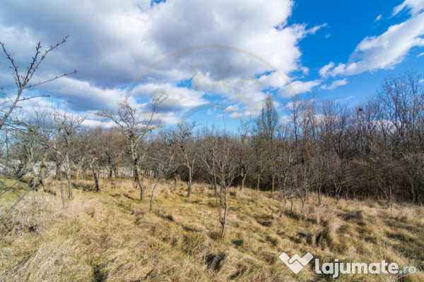 Casa traditionala argeseana – comuna Vedea, jud. Arges 