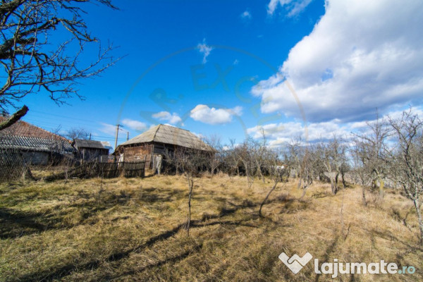 Casa traditionala argeseana – comuna Vedea, jud. Arges 