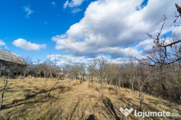 Casa traditionala argeseana – comuna Vedea, jud. Arges 
