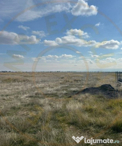 Teren 10000 mp - Albota Papillon, zona industriala in plina 