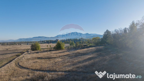 Comision 0% Teren de vânzare, zona Bran - Sohodol, 4000m... 