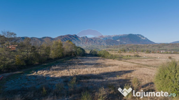 Comision 0% Teren de vânzare, zona Bran - Sohodol, 4000m... 