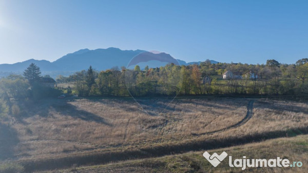 Comision 0% Teren de vânzare, zona Bran - Sohodol, 4000m... 