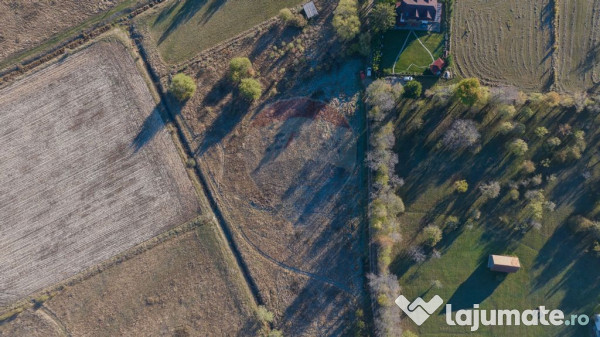 Comision 0% Teren de vânzare, zona Bran - Sohodol, 4000m... 