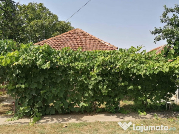 Casa la tara Cioranii De Jos, Prahova 