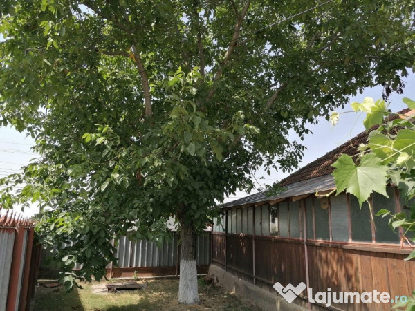 Casa la tara Cioranii De Jos, Prahova 