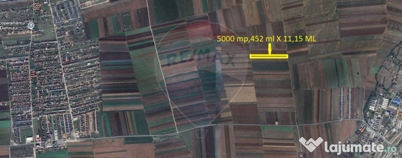 Teren Extravilan 5.000 mp Tarlungeni / Strada Zizinului