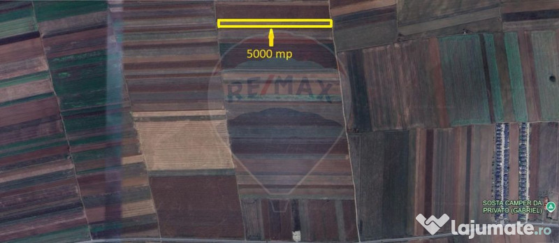 Teren Extravilan 5.000 mp Tarlungeni / Strada Zizinului
