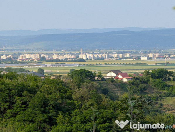 Sărata Băi- Oportunitate investiție- 4038 mp- priveliște
