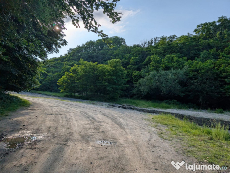 Sărata Băi- Oportunitate investiție- 4038 mp- priveliște