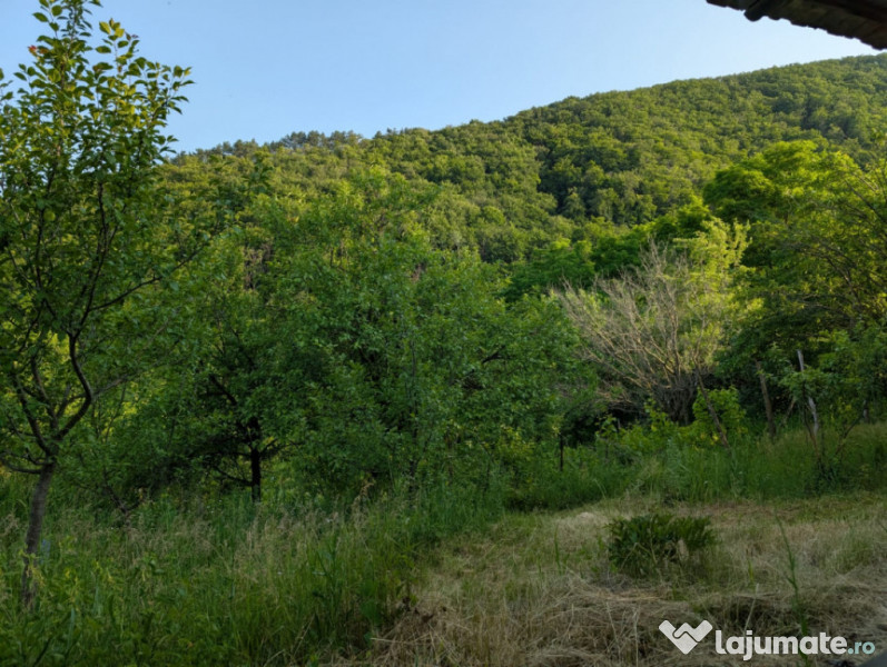 Sărata Băi- Oportunitate investiție- 4038 mp- priveliște