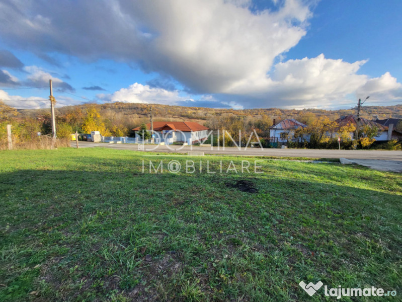 Teren 11.939 mp Bălănești – ideal rezidențial/comercia 