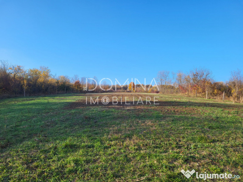 Teren 11.939 mp Bălănești – ideal rezidențial/comercia 