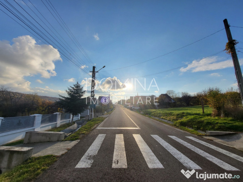 Teren 11.939 mp Bălănești – ideal rezidențial/comercia 