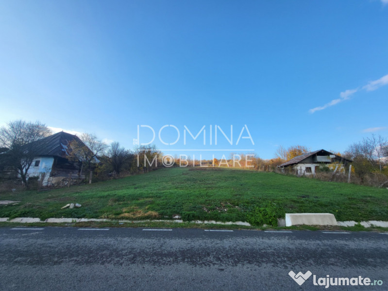 Teren 11.939 mp Bălănești – ideal rezidențial/comercia 