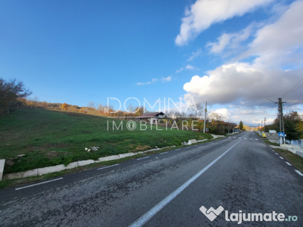 Teren 11.939 mp Bălănești – ideal rezidențial/comercia 