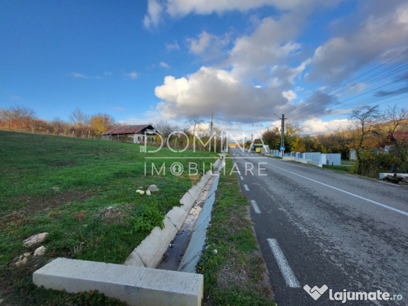 Teren 11.939 mp Bălănești – ideal rezidențial/comercia 