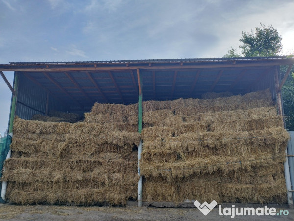 Baloți fân mici pătrați - Dragomirești Neamț 