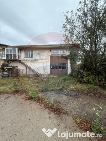 Hala - zona KAUFLAND Burdujeni