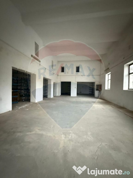 Hala - zona KAUFLAND Burdujeni