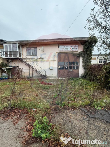 Hala - zona KAUFLAND Burdujeni