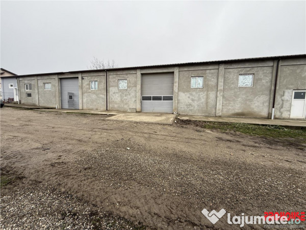 Hal#259; de închiriat în Luizi Calugara - 370 mp constr...