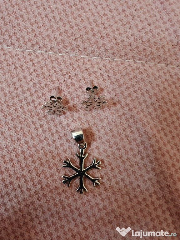 Set snowflakes argint