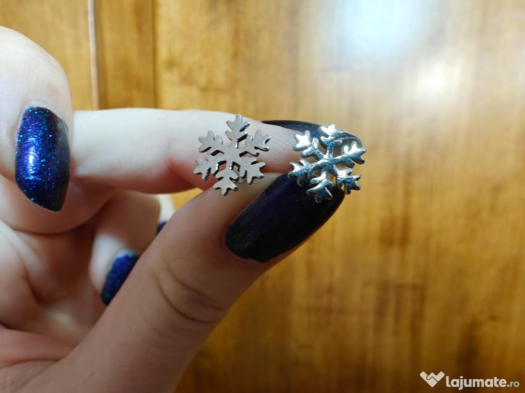 Set snowflakes argint