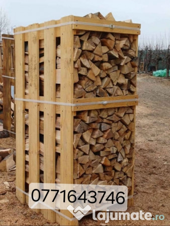 Lemne de foc fag paleti 