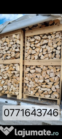 Lemne de foc fag paleti 