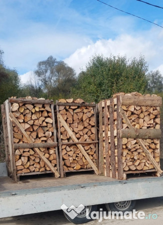 Lemne de foc fag paleti 