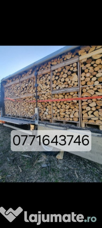 Lemne de foc fag paleti 